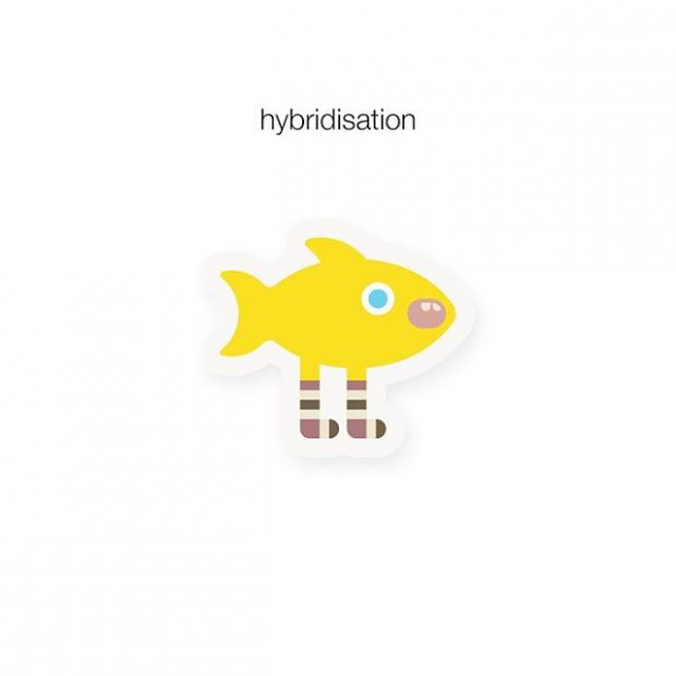 ByBa hybridisation icon